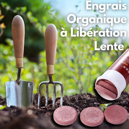 Engrais Organique à Libération Lente – 22 Comprimés par Tube