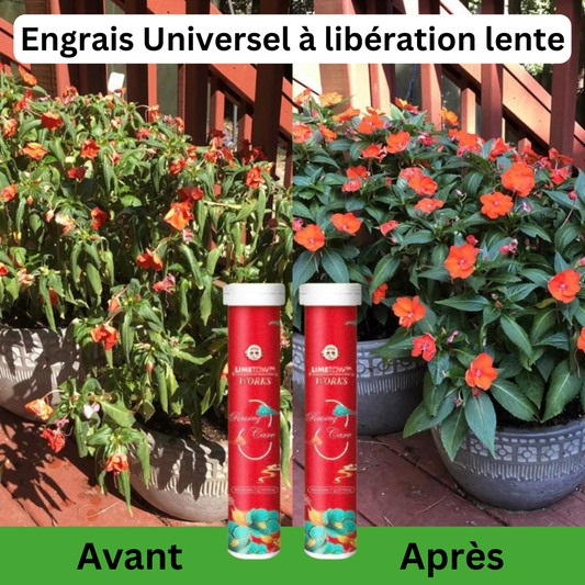 Pastilles de fertilisation universelle pour plantes, légumes et fruits..